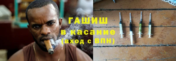 молекула духа Бородино