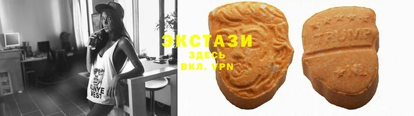 СК Богородицк