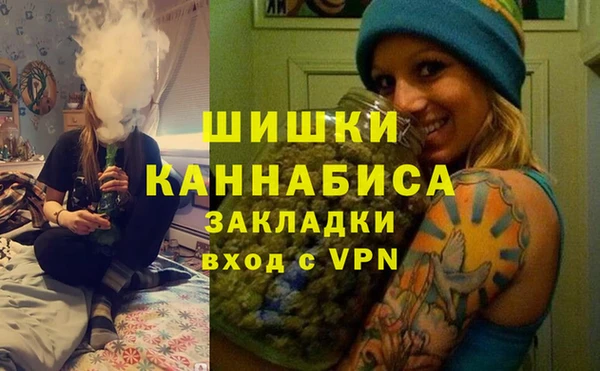 молекула духа Бородино