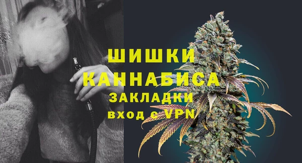 молекула духа Бородино