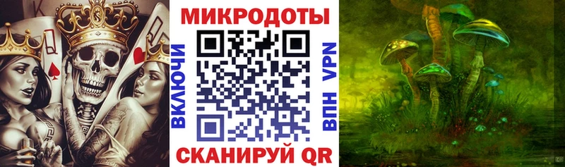 что такое Верхний Тагил Псилоцибиновые грибы мицелий